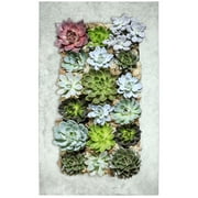 Modern Home Living Wall Galvanized Steel/Zinc Succulent Planter (Aged Zinc, 18 Pocket)